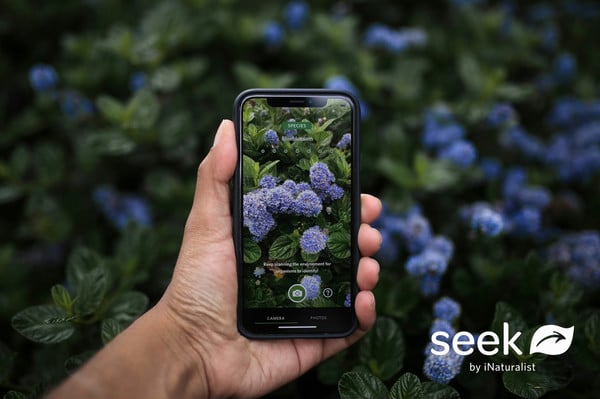 Seek App