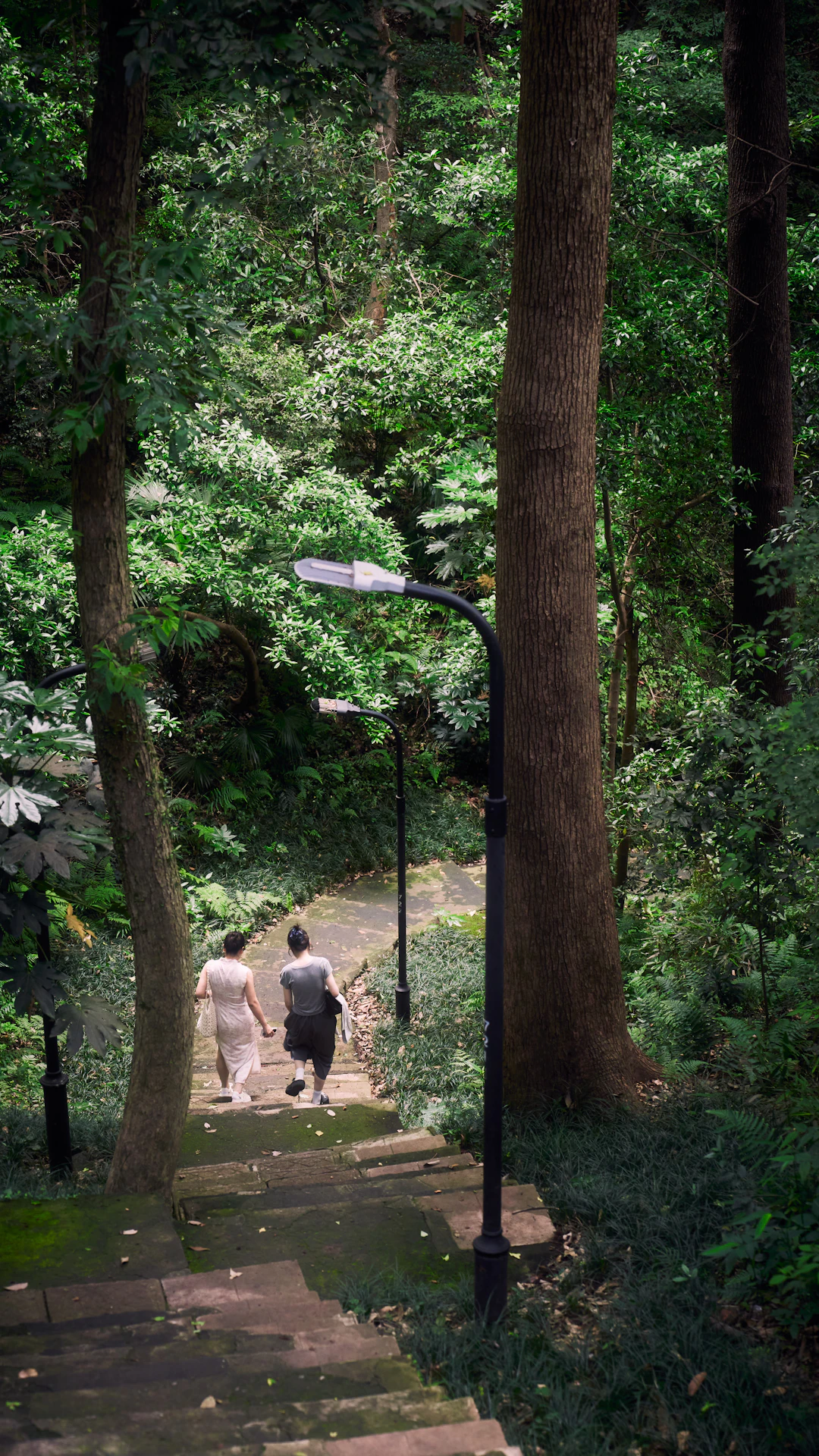 Two people walk down stone stairs in a lush forest.