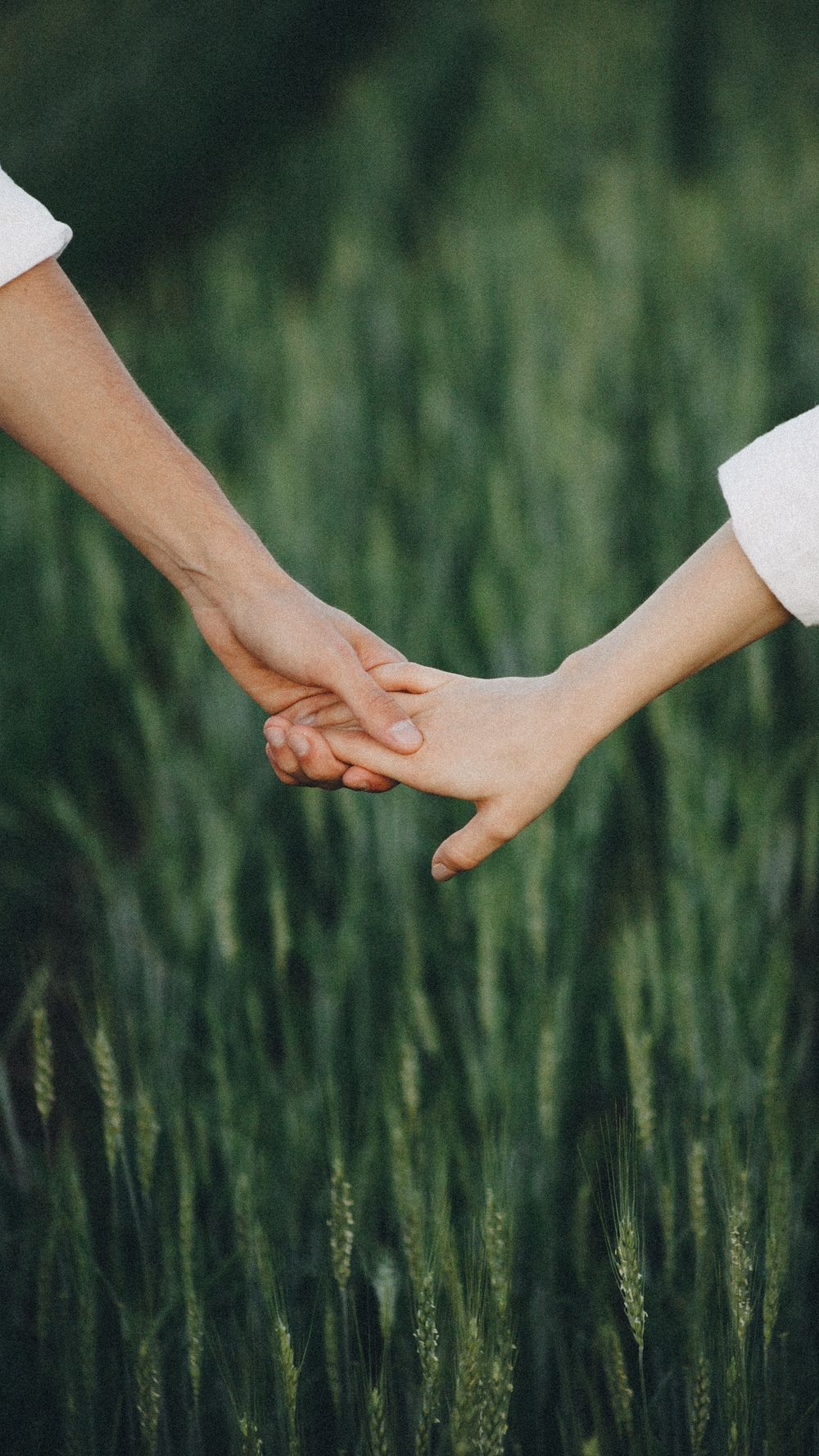 Close-up of a couple holding hands in a lush green field in Maringá, Brazil.