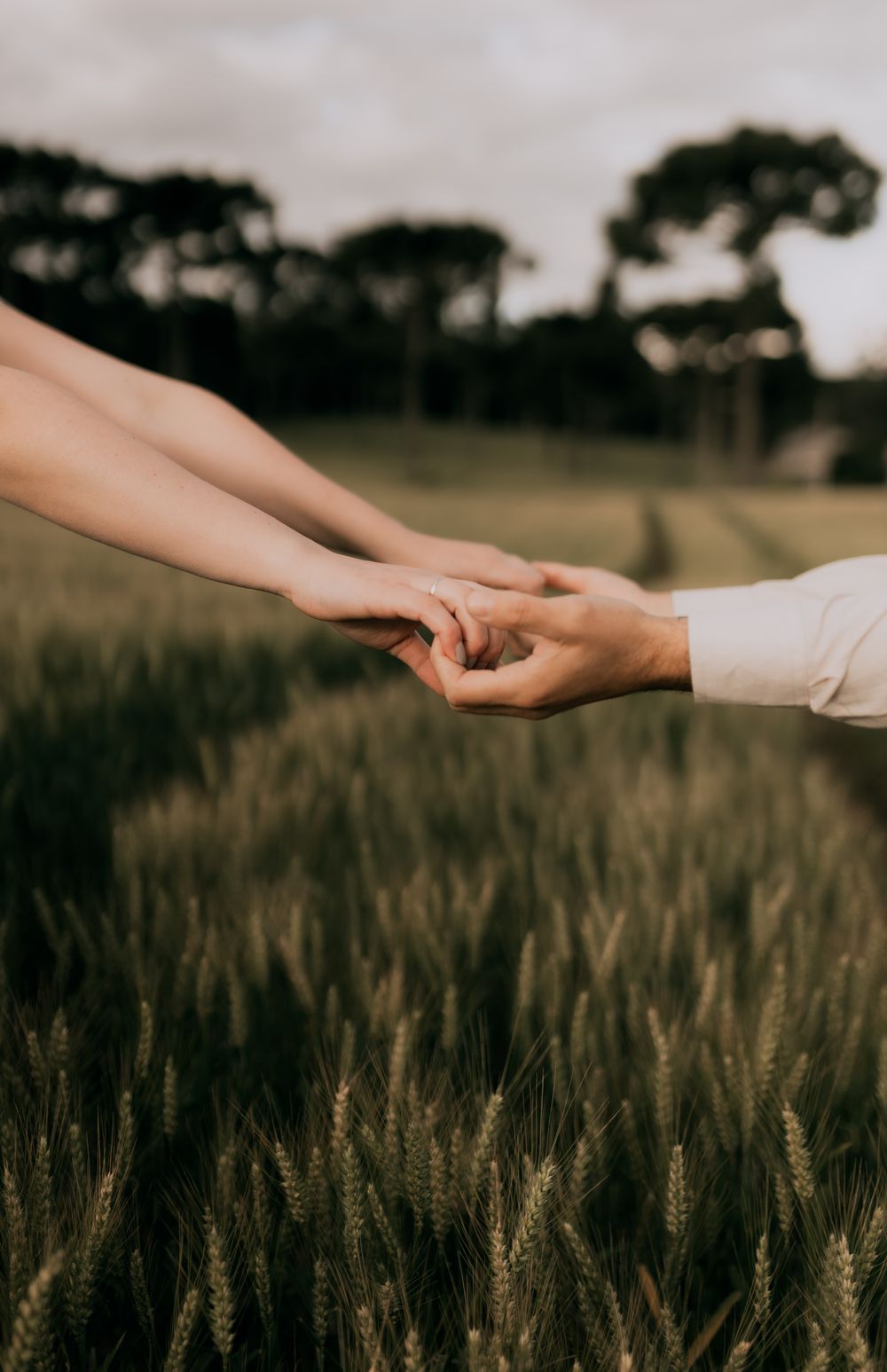 Close-up of a couple holding hands over a wheat field at sunset.